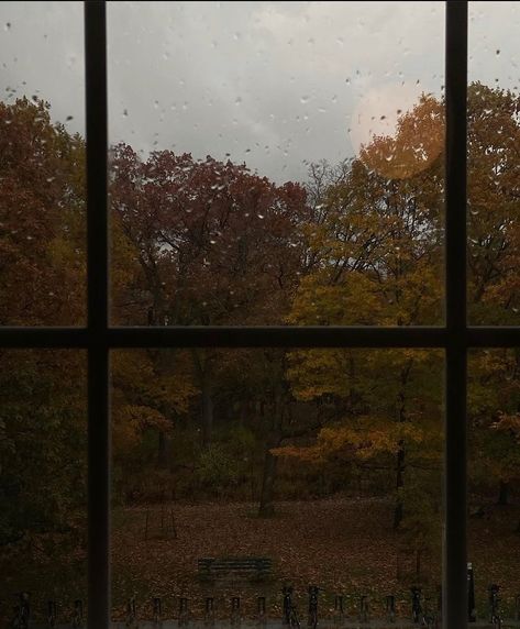 Autumn Rain, Late Autumn, Dark Autumn, Gloomy Day, Academia Aesthetic, Best Seasons, Open Window, We Fall In Love, Autumn Cozy