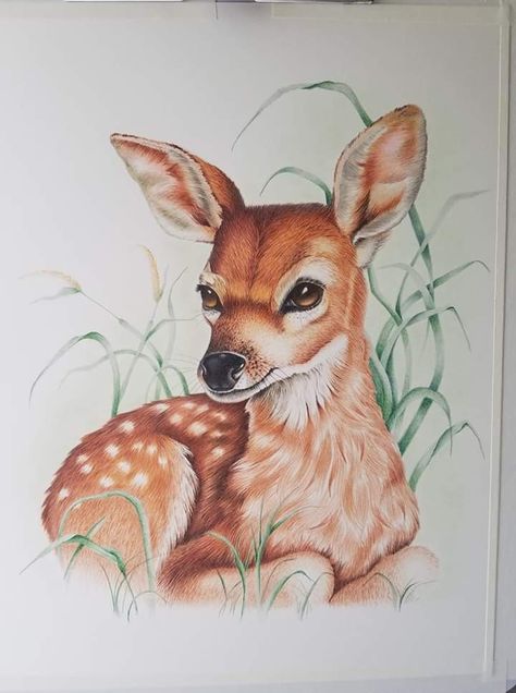 Deer Drawing Color, Colored Pencil Artwork Ideas, Teamwork Poster, Deer Sketch, Animal Canvas Paintings, Deer Drawing, Woodland Animal Art, Color Pencil Sketch, Deer Painting