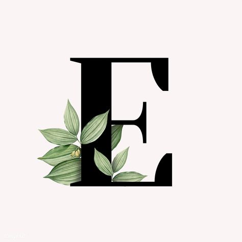 Botanical capital letter E illustration | premium image by rawpixel.com / Aum / Donlaya / Kappy Kappy / manotang E Illustration Letter, Letter E Aesthetic, Letter E Art, Botanical Capital Letter, E Letter, Alphabet E, Stylish Alphabets, Banner Letters, Picture Letters