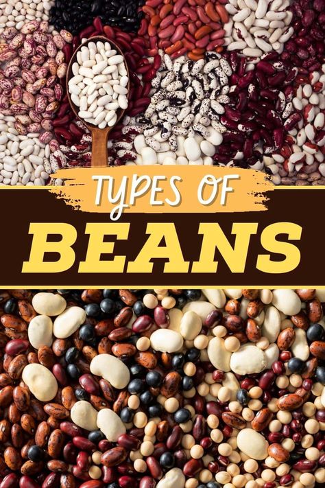 17 Popular Types of Beans ( How to Use Them) Types Of Beans Chart, Gigante Beans, Cannellini Beans Recipes, Kinds Of Beans, Protein Salad, White Kidney Beans, Azuki Bean, Frugal Recipes, Vegan Ideas