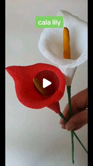 Paper Flower Bouquet Diy, Paper Projects Diy, Paper Flowers Diy Easy, Kraf Kertas, Diy Wedding On A Budget, Nylon Flowers, Easy Paper Flowers, Paper Flower Decor, Paper Flower Crafts