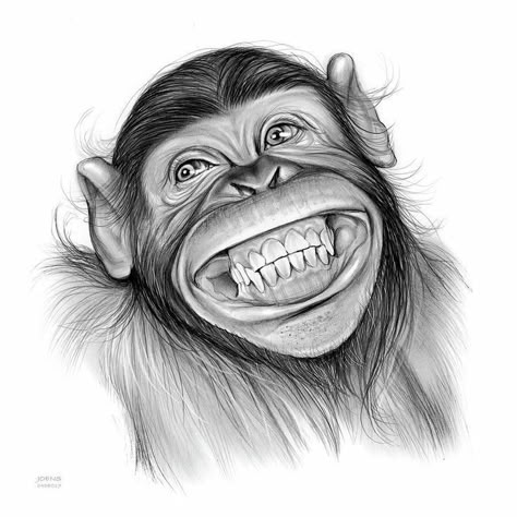 Cute Pencil Sketches, Animal Art Drawing Sketches, Pencil Sketches Of Animals, Draw A Monkey, Sketches Of Animals, Sketches Animals, Animals Sketch, Monkey Drawing, Drawings Of Animals