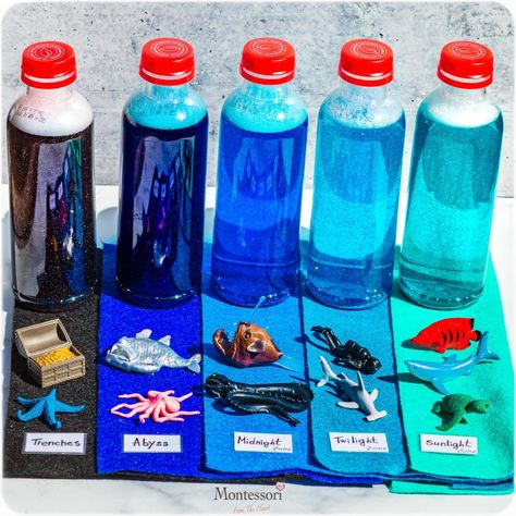 OCEAN-LAYERS-DIY-GLITTER-BOTTLES-Oceanic Pelagic Zones Ocean Animals Science Activities, C4l Unit 2, Layers Of The Ocean Project, Ocean Layers In A Jar, Ocean Zones Project, Ocean Layers, Sea Animals Coloring, Layers Of The Ocean, Glitter Bottles