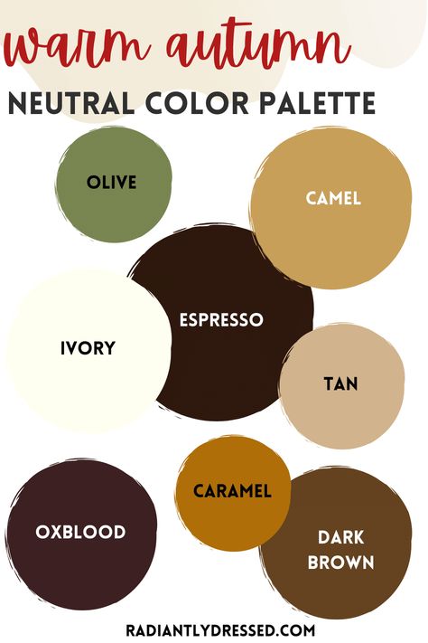 Color Analysis Warm Autumn, Bold Autumn Color Palette, Pure Autumn Palette, Autumn Neutrals Color Palettes, Warm Toned Outfits Color Palettes, Warm Autumn Dress, Warm Tone Color Palette Clothes, Classic Autumn Color Palette Outfits, Soft Autumn Neutral Color Palette