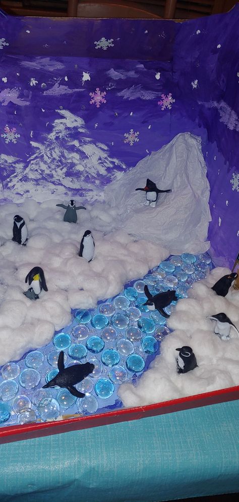 Penguin Diorama Habitats, Penguin School Project, Penguin Diarama For Kids, Shoebox Habitat Projects, Penguin Habitat Project, Arctic Habitat Diorama, Polar Habitat Project, Penguin Habitat Shoebox Project, Artic Diorama For Kids