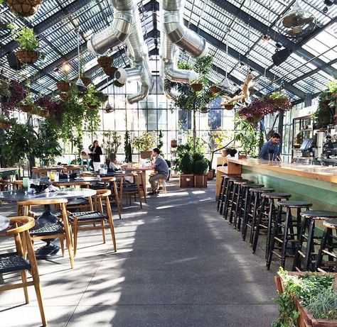 Greenhouse Bar, Greenhouse Restaurant, Concept Restaurant, Greenhouse Cafe, Coffee Restaurants, Design Café, Wooden Greenhouses, Greenhouse Plans, Garden Cafe