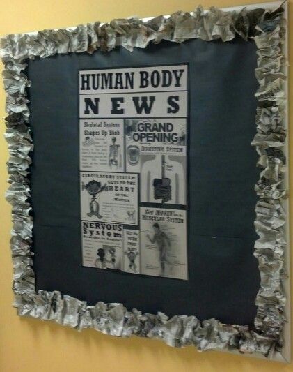 Human Body News Bulletin Board News Bulletin Board Ideas, 4-h Poster Ideas, Diy Bulletin Board, Newspaper Craft, Sustainability Projects, Penanda Buku, News Bulletin, Door Decs, Health Class