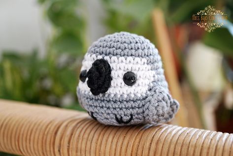 Parrot Craft, Crow Photos, Crochet Bird Patterns, Grey Parrot, Crochet Birds, African Grey Parrot, Feather Crafts, African Grey, Dragon Pattern