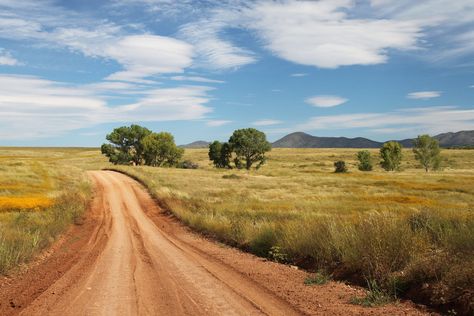 #countryside #dirt road #grass #landscape #outdoors #road #rural #scenic #soil #trees Grasses Landscaping, Beautiful Scenery Pictures, Mountain Photography, Backyard Inspo, Dirt Road, Rural Life, Rural Area, Cool Landscapes, Landscape Pictures