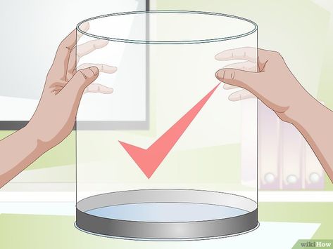 How to Start a Jellyfish Tank (with Pictures) - wikiHow Pet Jellyfish, Veterinary Surgery, Jellyfish Tank, Jellyfish Aquarium, Sea Monkeys, Brine Shrimp, Pet Clinic, Underwater Creatures, Fish Tanks