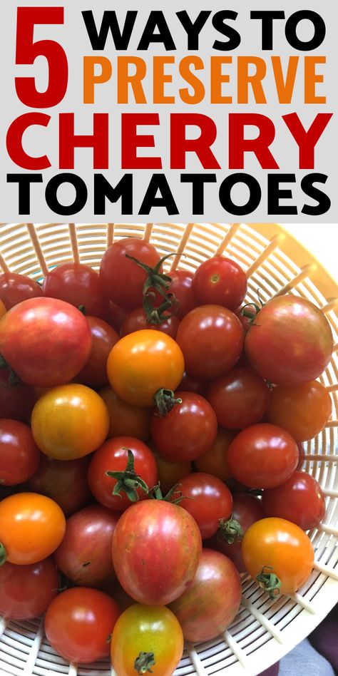 Freezing Grape Tomatoes, Freezing Garden Tomatoes, How To Freeze Grape Tomatoes, Cherry Tomato Sauce Freezer, Canning Ideas For Cherry Tomatoes, Freeze Cherry Tomatoes How To, Grape Tomatoes Preserving, Using Up Cherry Tomatoes, Processing Cherry Tomatoes