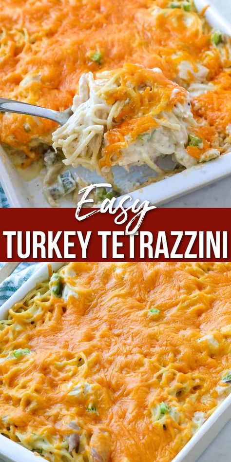 Turkey Tetrazzini in a pan Creamy Turkey Tetrazzini Recipe, Easy Turkey Tetrazzini, Turkey Stir Fry Recipes, Pasta Casserole Dishes, Cream Of Mushroom Pasta, Turkey Tetrazzini Easy, Turkey Tetrazzini Recipe, Turkey Noodle Casserole, Turkey Casserole Recipe