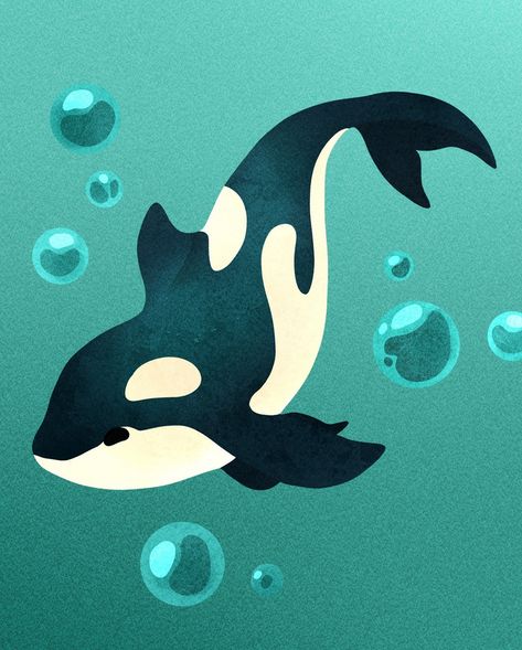 Orca Whale Illustration, Cute Orca Drawing, Orca Whales Photography, Orca Whale Drawing, Whale Animation, Cartoon Orca, Seattle Murals, Killer Whale Drawing, Orca Illustration