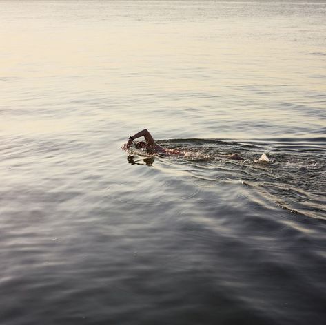 Swimming Pictures, Swimming Tips, Water Swimming, Open Water Swimming, Keep Swimming, Swimming Pools Backyard, New Forest, Almost Perfect, Open Water