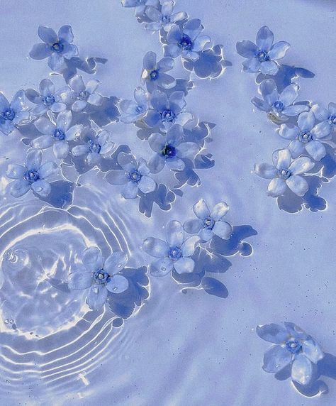 Aesthetic Light Blue Pictures, Aesthetic Blue Desktop Wallpaper, Aesthetic Periwinkle, Blue Asthetics Photos, Ice Blue Aesthetic, Blue Astetic Photos, Cute Blue Aesthetic, Blue Aesthetic Summer, Flowers In Water