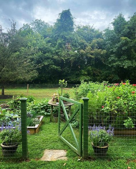 Maura (@m.o.endres) • Instagram photos and videos Veg Patch Ideas, Garden Patch, Veg Patch, Patch Ideas, Rustic Patio, Perfect Morning, Dream Cottage, Greenhouse Gardening, August 22