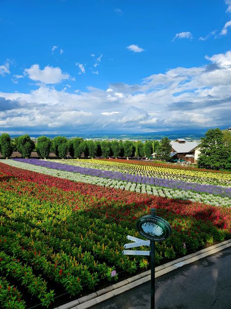 Farm Tomita, Furano by wengkiong The post Farm Tomita, Furano appeared first on Alo Japan. Japanese Farm, Farm Land, Furano, East Meets West, Japan Photo, New Haven, The Hobbit, Japan