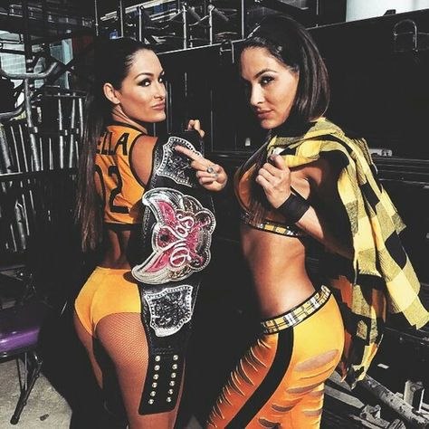 Bella Twins Nicki Bella, Brie Bella Wwe, Bella Sisters, Nikki Bella Photos, Twins Sisters, The Bella Twins, Women Wrestling, Nikki And Brie Bella, Nxt Divas