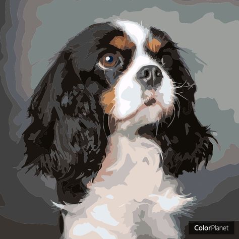 Black Dachshund, Spaniel Art, Cavalier King Charles Dog, King Charles Dog, Oil Painting Inspiration, King Charles Cavalier Spaniel Puppy, Pets Drawing, Watercolor Projects, Color By Number