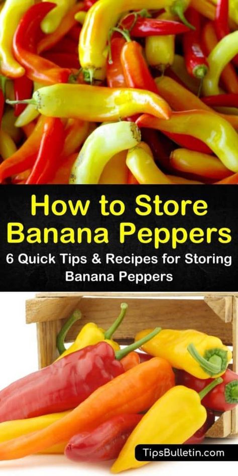 You can store banana peppers after growing them by canning pickled peppers and freezing them. We’ll show you what to do with those peppers to ensure they provide you with a fresh flavor and nutritional health benefits. #storingbananapeppers #preservebananapeppers #howtostorepeppers What Can You Do With Banana Peppers, Banana Peppers In Oil Canning, What To Do With Peppers Ideas, Freezing Stuffed Banana Peppers, Can You Freeze Banana Peppers, What To Do With Sweet Banana Peppers, Subway Banana Peppers Canning Recipes, Storing Banana Peppers, How To Freeze Banana Peppers