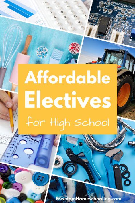 Affordable Electives for High School Middle School Electives, School Encouragement, High School Electives, Homeschool Electives, Secular Homeschool, Learning A Second Language, Homeschooling Resources, High School Years, Homeschool High School