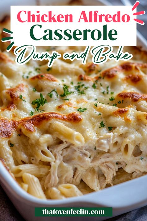 Quick Casserole Recipes Chicken, Good Dinner Recipes With Chicken, Chicken Alfredo Hotdish, Easy Chicken Alfredo Casserole Recipes, Chicken Casserole Recipes For Two, Easy Chicken Casseroles Quick, Oven Baked Casseroles, Chicken Bacon Ranch Alfredo Pasta Dump And Bake, Chicken And Pasta Casseroles