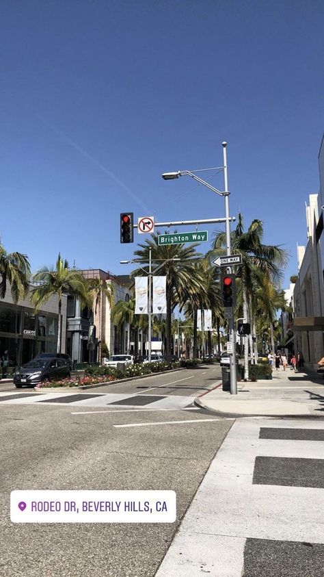 Los Angeles Streets, Los Angeles Palm Trees, Los Angeles Wallpaper, Rodeo Drive Beverly Hills, Los Angeles Aesthetic, Los Angeles Street, Los Angeles Hollywood, Cali Life, Los Angeles Travel