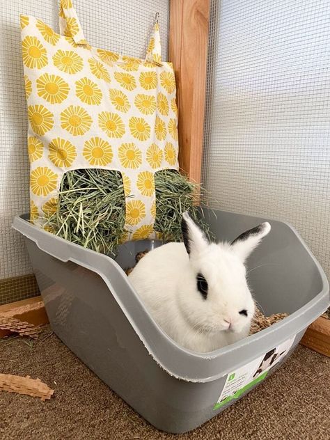 Hip hip hooray for HAY Rabbits diet is 80% hay - making it crucial that they have access to it 24/7 in their setups, Why not make it aesthetic and fitting your style while doing so!? These pouches are made to order with COTTON fabric - large enough for 1-3 rabbits to share. With two large hay holes to easily access hay. The one pictured had duck canvas but we are currently sold out of our duck canvas material. We are providing matching material we use for snuggle beds for a complete look at this Rabbit Feeder, It Aesthetic, Pet Rabbit Care, Rabbit Diet, Rabbit Accessories, Rabbit Treats, Rabbit Hay, Bunny Room, Pet Storage