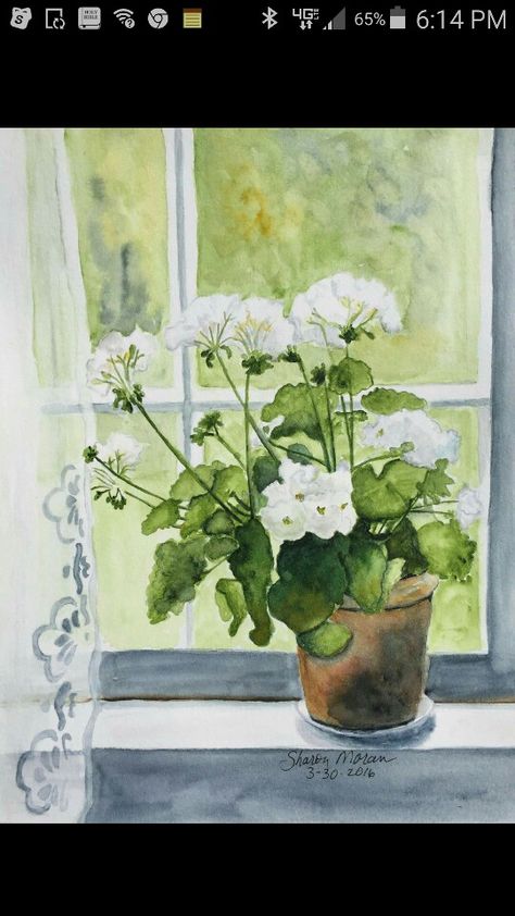 White flowers Watercolor Window With Flowers, Window Watercolor Painting, Watercolor Geraniums, Geranium Watercolor, Windows Watercolor, Watercolor Window, Window Watercolor, Learn Watercolor Painting, Watercolor Paintings Easy