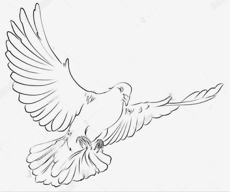 Dove Tattoo Outline, Realistic Dove Tattoo, Traditional Dove Tattoo, Tattoo Design Stencil, Bird Tattoo Sleeves, Dove Drawing, Line Drawing Tattoos, Dove Tattoo Design, Dove Tattoos