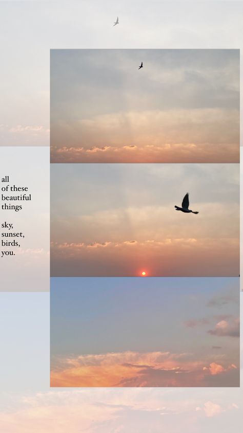 Aesthetic Sky Story Ideas, Aesthetic Cloud Pics, Instagram Aesthetic Bio Ideas, Sunset Captions For Instagram, Nature Photography Quotes, Sunset Quotes Instagram, Instagram Collage, Birds In The Sky, Instagram Creative Ideas