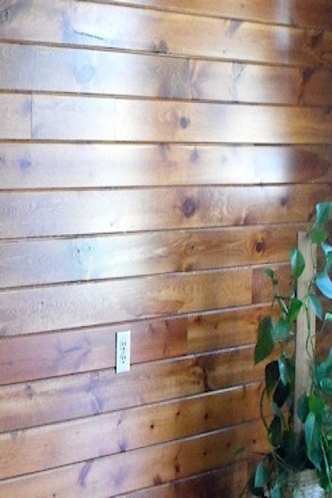 Our Stained PEACE OF MIND PINE™ has a color coat HAND applied to the rich ponderosa pine board prior to the clear urethane finish and ultra-violet light drying technique. This hand application rubs in the stain emphasizing and "antiquing" the natural wood character and grain. Just look at that sheen! #knottypinepaneling #interiorwoodpaneling #woodlovers White Wash Knotty Pine Walls, Knotty Pine Walls Makeover, Knotty Pine Interior, Stained Knotty Pine, Cottage Basement, Knotty Pine Ceiling, Stained Shiplap, Knotty Pine Paneling, Pine Paneling