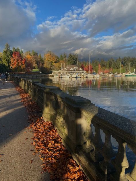 Vancouver In Autumn, Vancouver Fall Activities, Vancouver Fall Aesthetic, Coal Harbour Vancouver, Vancouver British Columbia Aesthetic, Vancouver Autumn, Widgets Christmas, Fall Vancouver, Vancouver Aesthetic