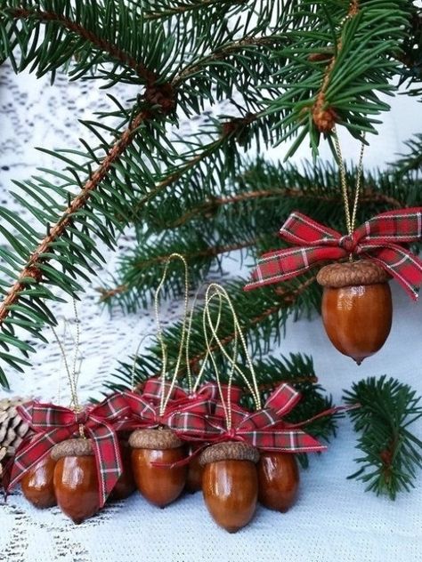 Christmas Ornaments, Real Natural Acorn Ornaments, Christmas Tree Decor, Christmas Tree Ornament, Holiday Decor, Custom Ornaments ~ Set of 8 This listing is for a set of 8 Christmas ornaments made using real natural oak acorns. Acorns have been washed and disinfected, so they are dirt and pest-free. Every acorn cap has been glued back onto the acorn. They have all been buffed by hand and polished to make them shine. Approximately measure on average 1.25 inch with cap. Each acorn comes with a gol Navidad Natural, Tree Decor Christmas, Acorn Ornaments, Acorn Crafts, Christmas Tree Decorating Themes, Decor Christmas Tree, Ornaments Christmas Tree, Custom Ornaments, Real Christmas Tree