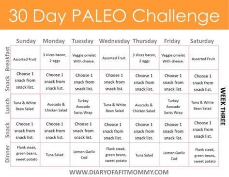 Diary of a Fit Mommy | 30 Day Paleo Challenge. Come with free meal plan printables! #dietplan 30 Day Paleo Challenge, Paleo Plan, Diary Of A Fit Mommy, Paleo Meal Prep, Against All Grain, Paleo For Beginners, Paleo Diet Plan, Paleo Meal Plan, Meal Planning Printable