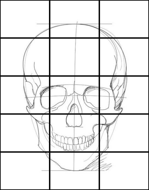 Grid Sketch, Drawing Grid, Skull Reference, Skull Drawing, Halloween Drawings, Figure Drawing Reference, Reference Photos, Art Classroom, Art Reference Photos