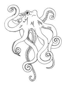 Octopus Tattoo Stencil, Sea Life Outlines, Octopus Tattoos Linework, Octopus Outline Drawing, Octopus Outline, Octopus Coloring Page Free Printable, Cool Drawings For Kids, Octopus Coloring Page, Octopus Drawing