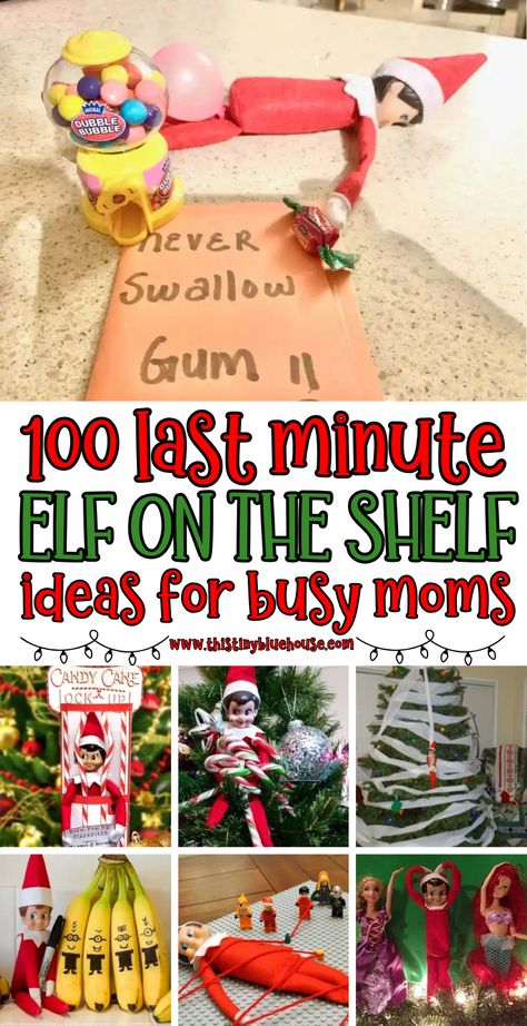 We've collected the best last minute elf on the shelf ideas. These lazy mom elf on the shelf ideas are quick and easy to setup on nights when you have no time or forgot.

From funny elf on the shelf ideas for kids to mischievous elf on the shelf pranks we've collected the best super easy and quick elf on the shelf ideas.

Head on over to find a creative elf on the shelf idea to wow your kids with very little effort. Elf Toddler Activities, Weekend Elf On The Shelf, Elf On The Shelf Ideas With Toilet Paper, Elf On The Shelf Little Kids, Crochet For Elf On The Shelf, Elf On The Shelf Ideas From Dollar Tree, Elf Teen Ideas, Elf Ideas For Boys, Elf On Shelve Ideas Fun