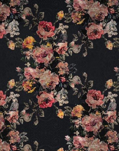 Product Image Black Floral Wallpaper, Modern Floral Wallpaper, Vintage Floral Backgrounds, Lace Background, Gallon Of Paint, Vintage Floral Wallpapers, Luxury House Interior Design, Little Garden, Dark Floral