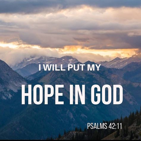 I will put my Hope in God. Blessed Life Quotes, Karma Quotes Truths, Bible Affirmations, Couple Dance Videos, Hope In Jesus, Quotes Truths, Bible Quotes Wallpaper, Hope In God, Prayer Life