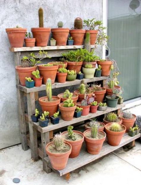 Jardín Pot Plant Stands Outdoor, Garden Plant Shelves, Outdoor Shelves, Succulent Landscape Design, Diy Hanging Planter, Jardim Diy, نباتات منزلية, Succulent Landscaping, Plant Stands Outdoor