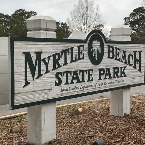 Myrtle Beach State Park may be the last undeveloped beachfront oasis along the Grand Strand, known widely for its lively attractions and fearless development. Myrtle Beach Things To Do, Myrtle Beach State Park, Cypress Gardens, South Carolina Travel, Edisto Island, South Carolina Beaches, Tent Site, Butterfly House, Hidden Places