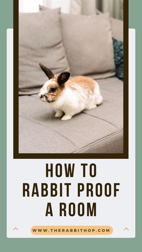 Are you concerned about rabbits causing chaos in your living space? Our ultimate guide provides the necessary steps for effectively rabbit-proofing your room. Click through to discover all the tips and tricks required to safeguard your home. Pet Bunny Rabbits, Indoor Rabbit, Pet Bunny, Bunny Rabbit, Rabbits, Tips And Tricks