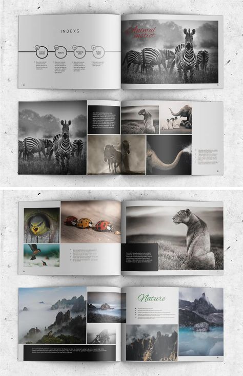 Photography Album Template InDesign INDD Travel Photo Book Layout, Photobook Layout Templates, Picture Album Design, Picture Layout Design, Photo Book Layout Ideas, Photo Album Design Template, Photobook Layout Design, Photobook Cover Design, Photo Book Cover Design