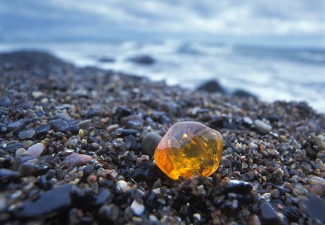 Amber Gemstone Aesthetic, Amber Stone Meaning, Gem Hunt, Rock Identification, Fossil Hunting, Rocks And Fossils, Rock Hunting, Gem Mining, Road Trip Destinations