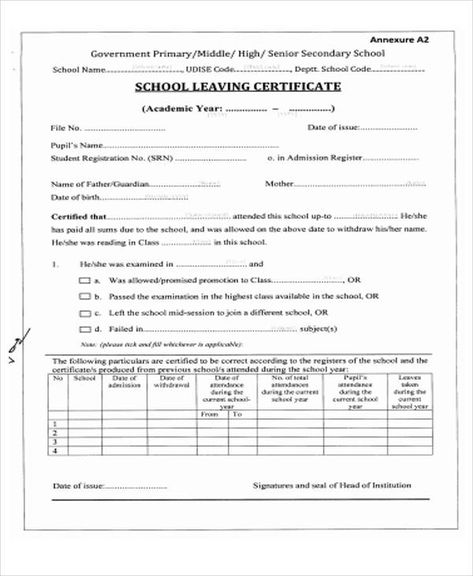 amp-pinterest in action School Leaving Certificate, Blank Certificate Template, Certificate Format, Senior Secondary School, Free Certificate Templates, Birth Certificate Template, Coding School, Awards Certificates Template, School Certificates