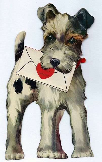 Valentine Day Card, Wire Dog, Printable Valentines Day Cards, Valentine Images, Printable Valentines, Fox Terriers, Wire Fox Terrier, Valentines Day Cards, Vintage Valentine Cards