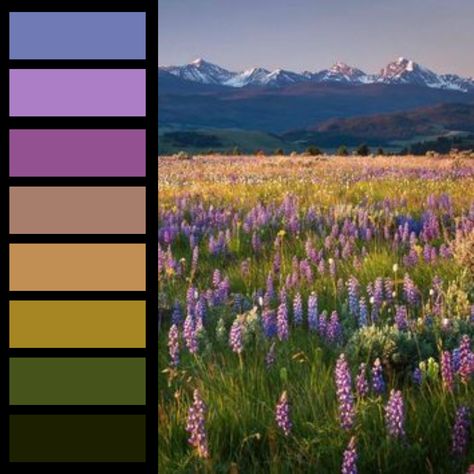 Color palette, design, landscape, Color palette design, color scheme, Flower, flower aesthetic, flower glitter, flower wallpaper, prairie, prairie aesthetics Forest Lake Color Palette, Landscape Color Schemes, Lupine Color Palette, Wildflowers Color Palette, Flower Field Color Palette, Colour Palette Landscape, Scottish Highlands Color Palette, Landscape Colour Palette, Enchanted Garden Color Palette