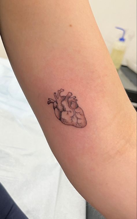 Black And White Anatomical Heart Tattoo, Cardiac Heart Tattoos, Rock Heart Tattoo, Atomically Correct Heart Tattoo, Heart To Heart Tattoo, Biological Heart Tattoo, Healthcare Worker Tattoo, Cardiology Tattoo, Congenital Heart Defect Tattoo