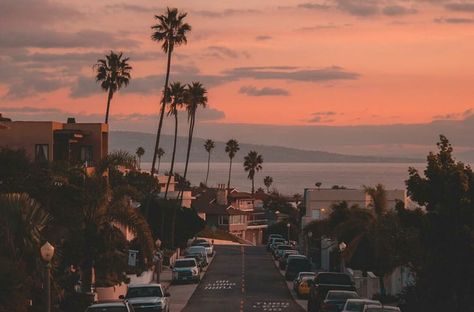 #aesthetic #sky #beautiful #pretty #ocean #city #sunset #alternative #tumblr #colors  https://weheartit.com/entry/324386895 Palm Trees, We Heart It, Trees, Laptop, California, Cars